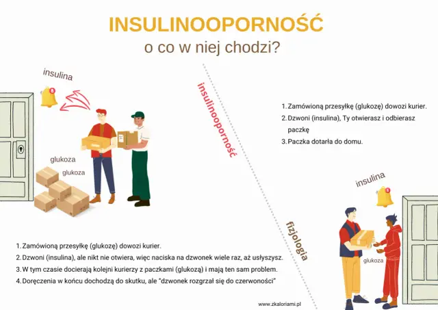 Badanie insuliny - jak przygotować się i rozumieć wynik?